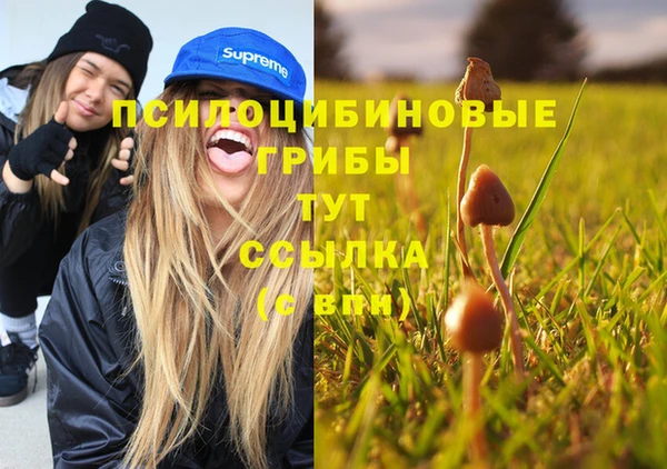 мескалин Армянск