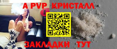 бошки Тверь