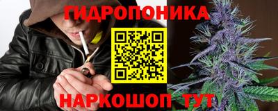бошки Тверь