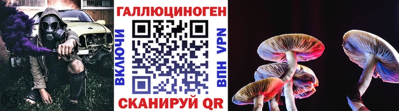 купить цена Раменское Псилоцибиновые грибы ЛСД