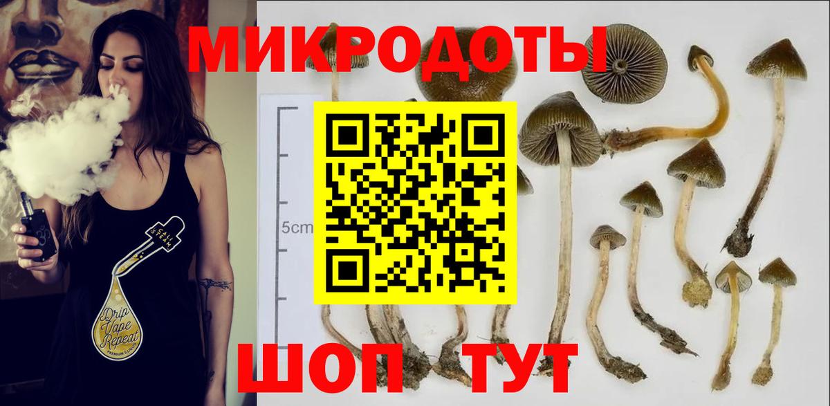 Раменское  Псилоцибиновые грибы Psilocybine cubensis  Псилоцибиновые грибы мухоморы  Вход с VPN 
